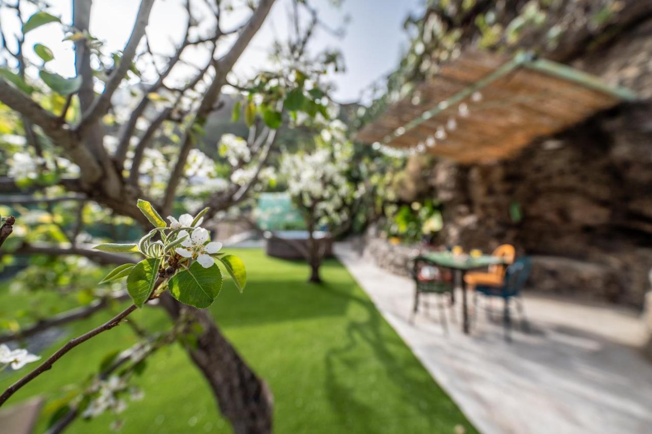 Casa Rural Bejeque Teror Dış mekan fotoğraf