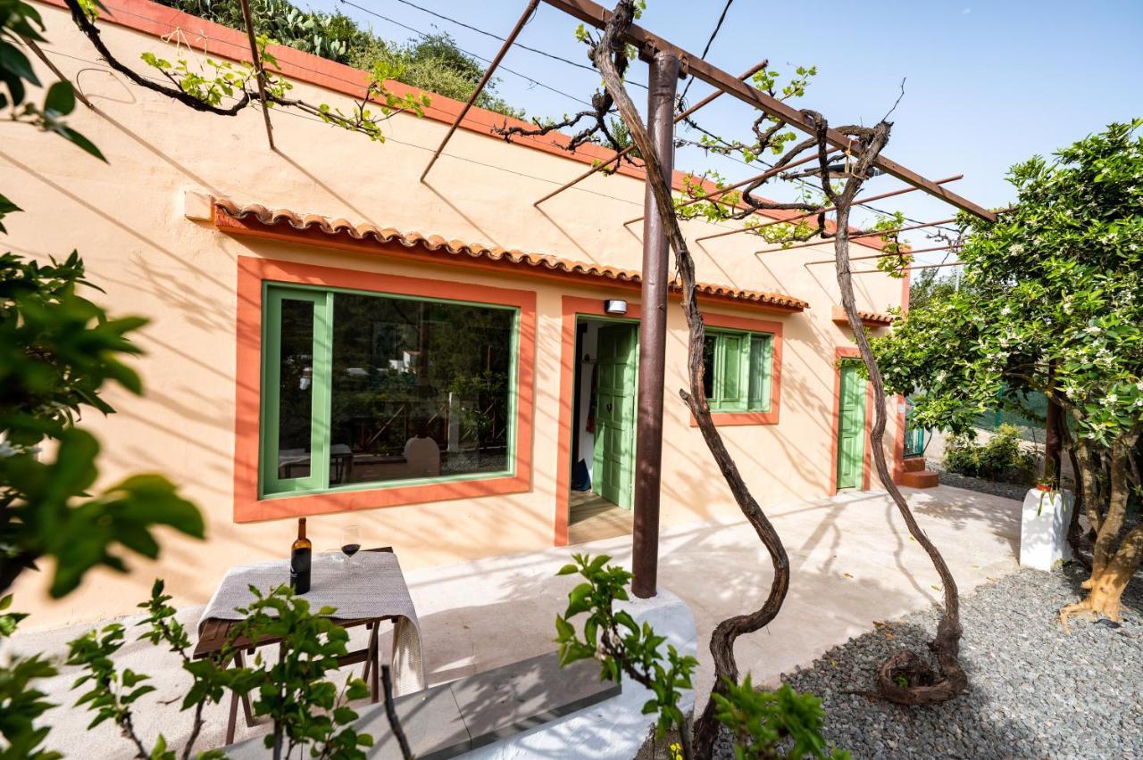 Casa Rural Bejeque Teror Dış mekan fotoğraf
