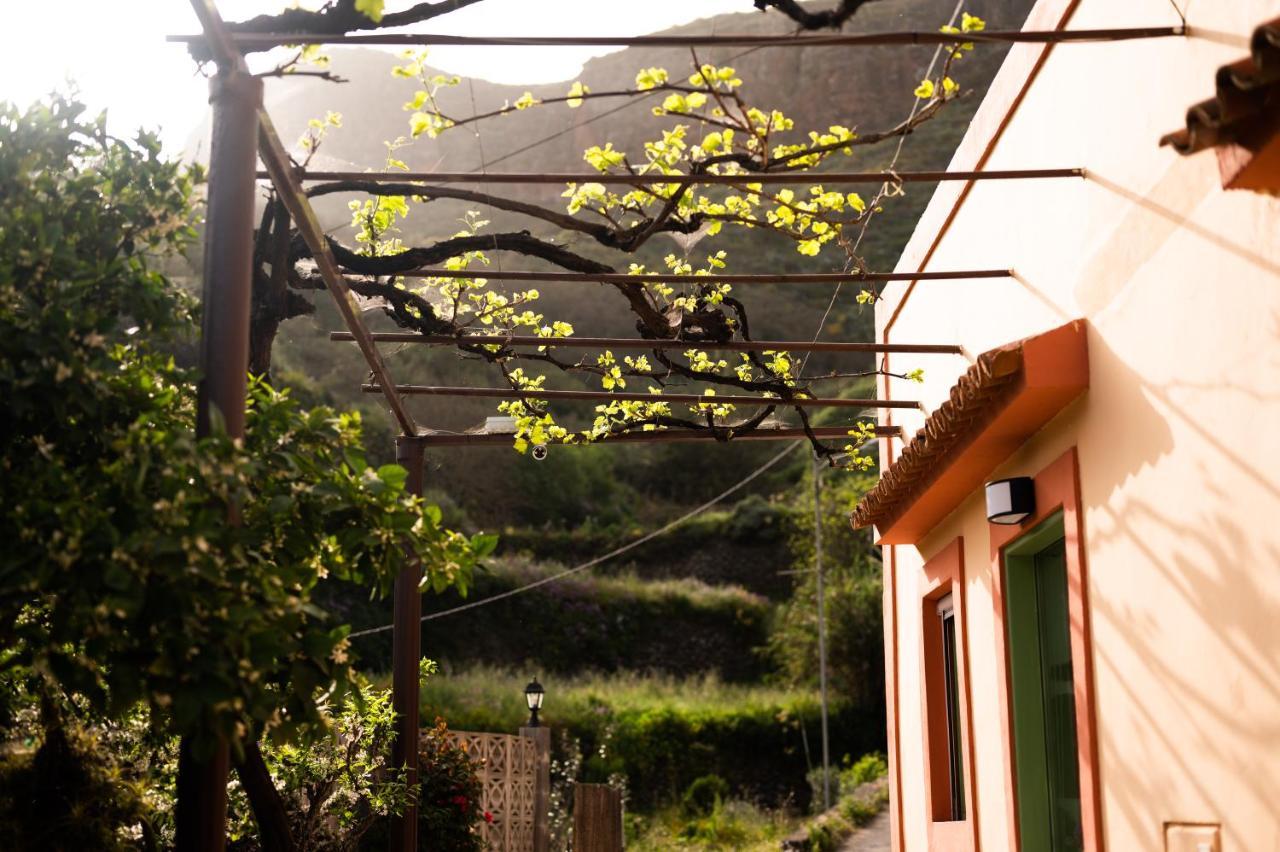 Casa Rural Bejeque Teror Dış mekan fotoğraf