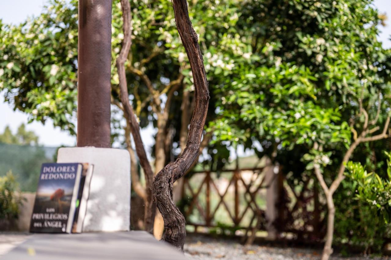 Casa Rural Bejeque Teror Dış mekan fotoğraf