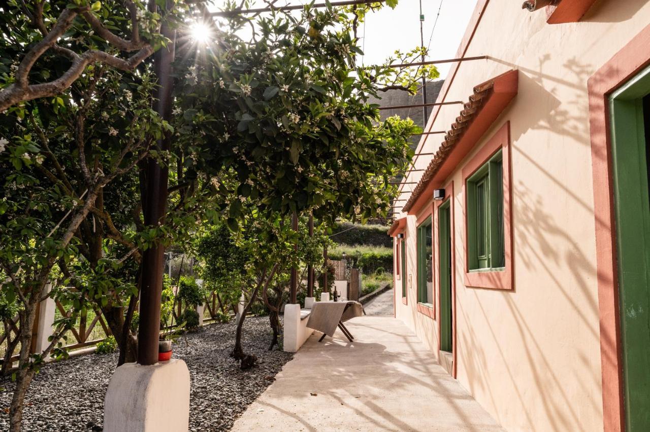 Casa Rural Bejeque Teror Dış mekan fotoğraf